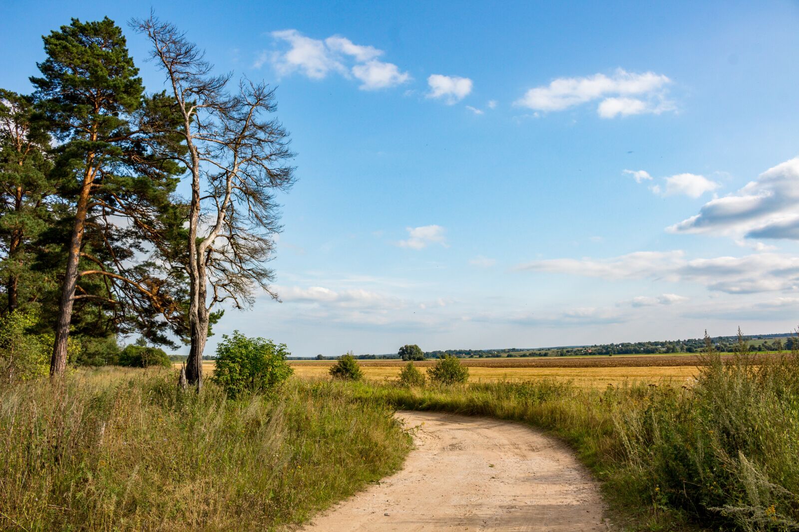 Canon EOS 100D (EOS Rebel SL1 / EOS Kiss X7) sample photo. Twist, rural, road photography