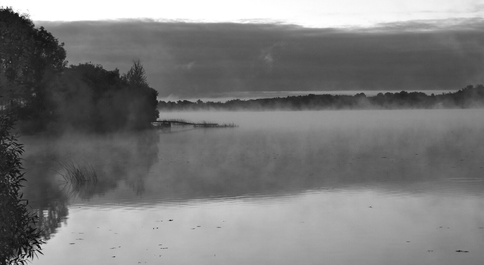 Sony DSC-HX1 sample photo. "River, fog, trees" photography