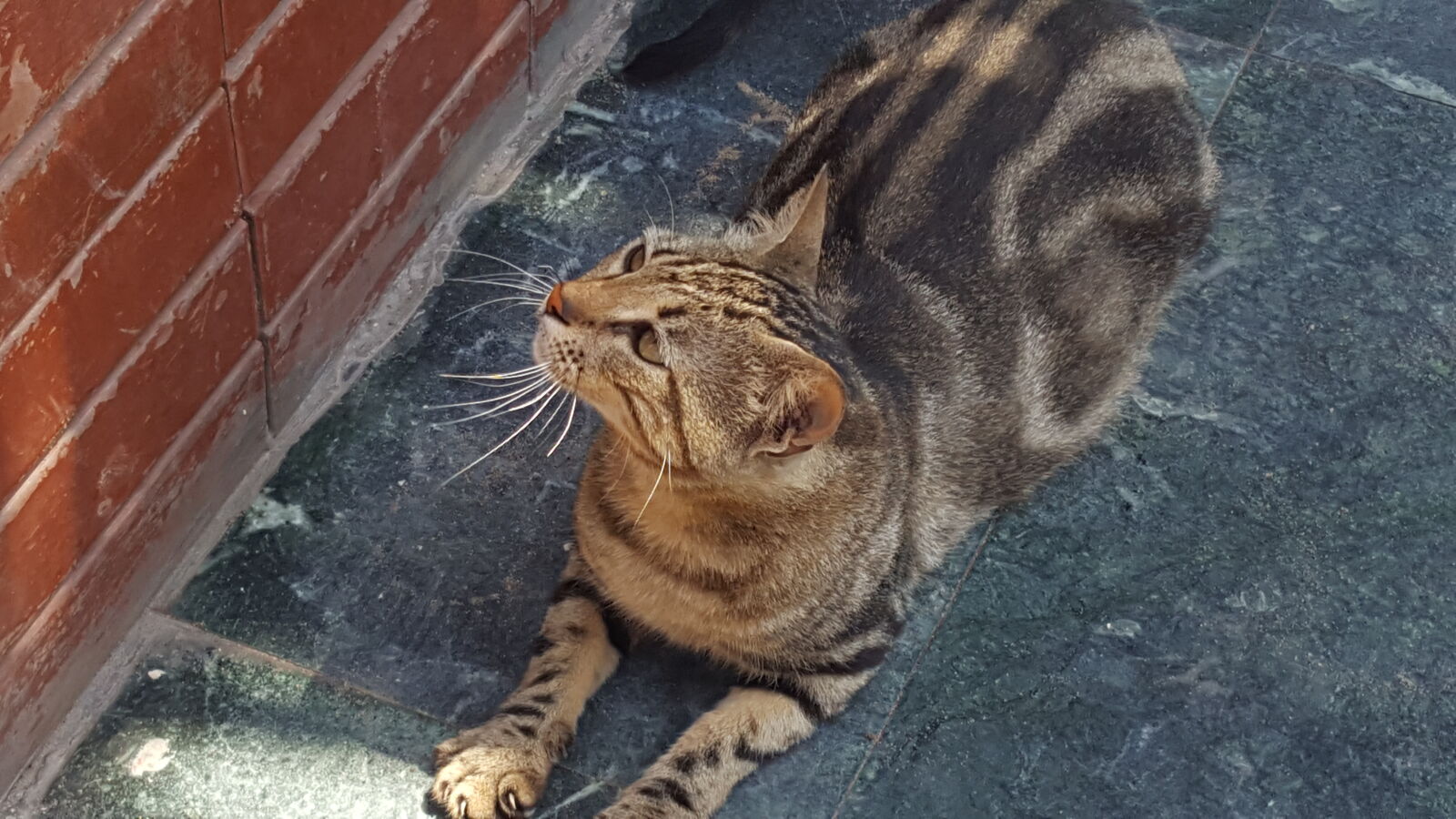 Samsung Galaxy Note5 sample photo
