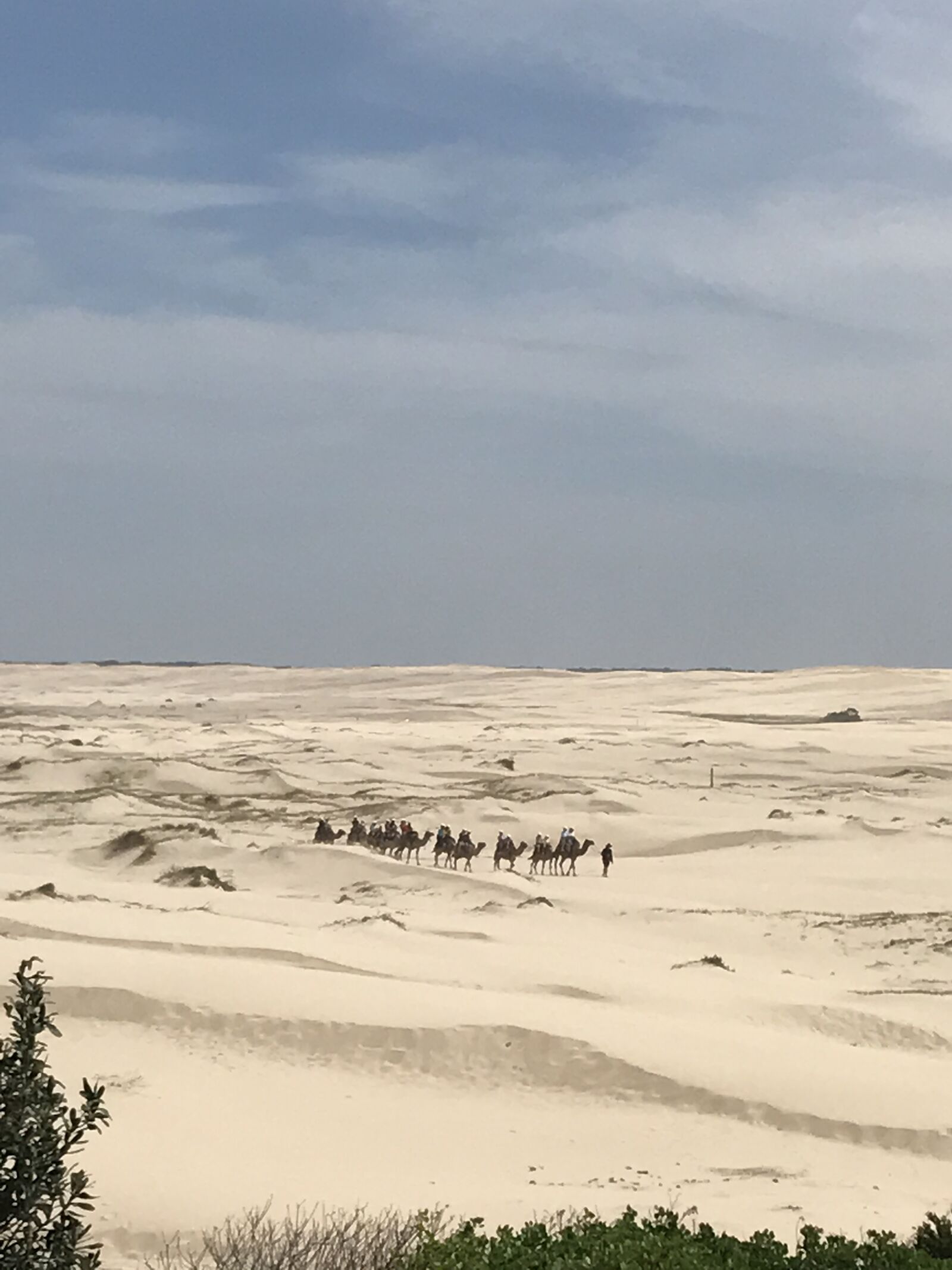iPhone 7 back camera 3.99mm f/1.8 sample photo. Australia, desert, nature photography