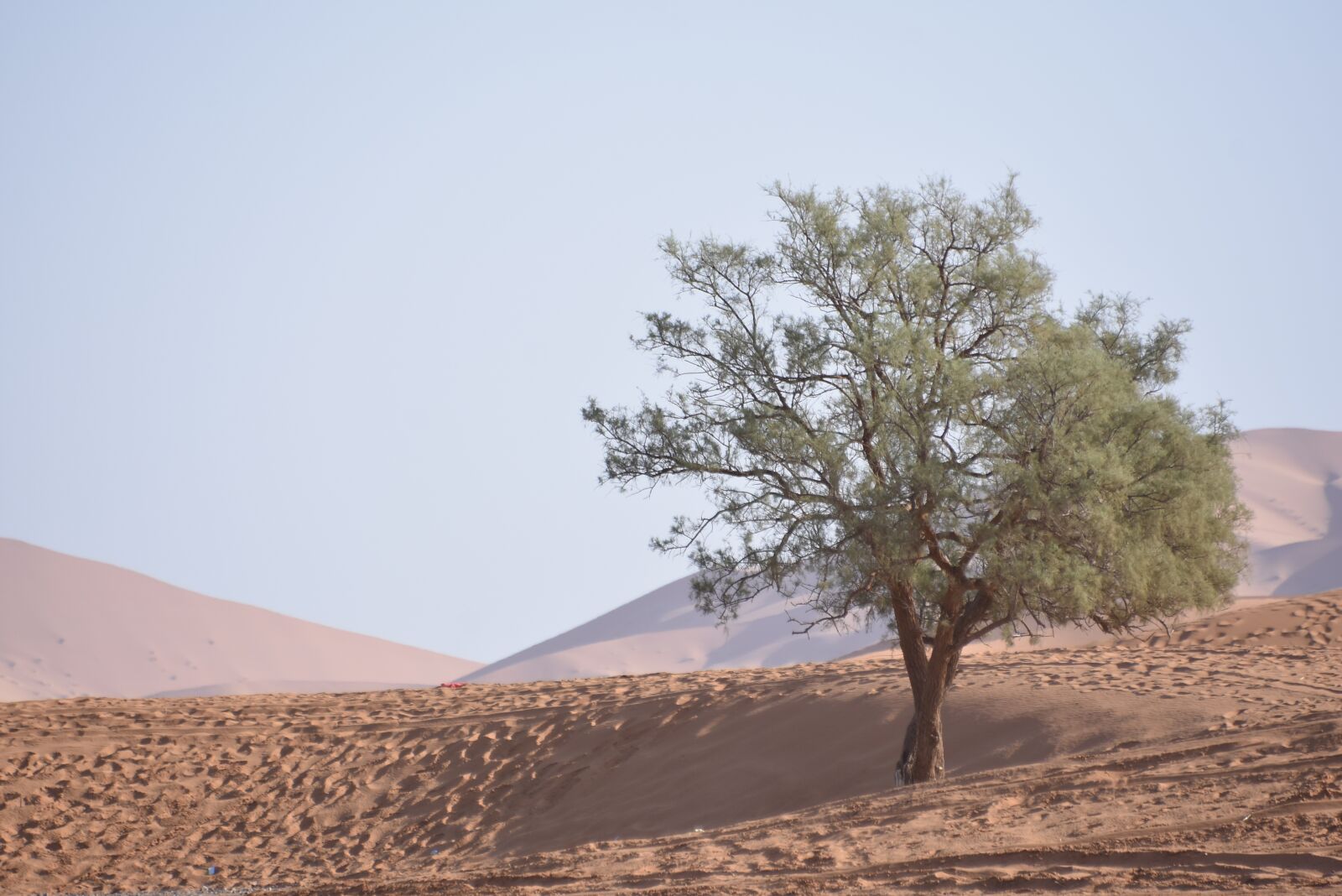 Nikon D7200 sample photo. Sahara desert, morocco, dunes photography
