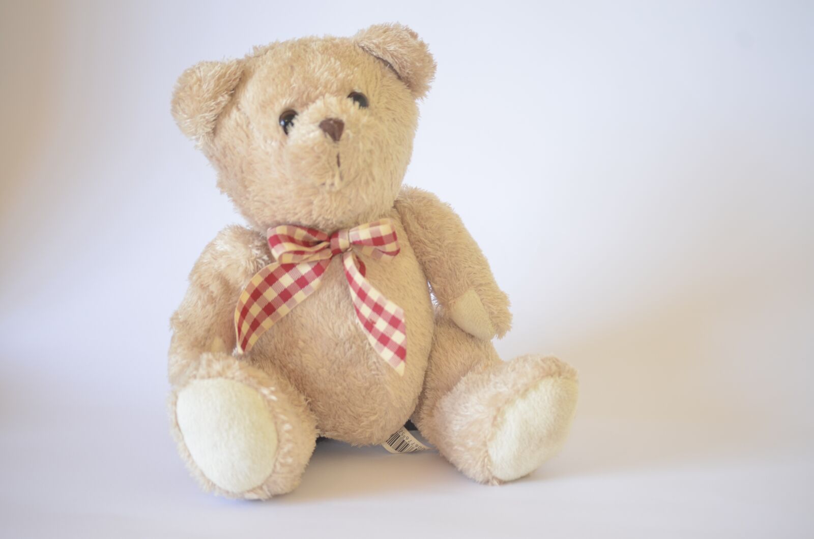 Nikon D5100 sample photo. Teddy, bear, toy photography