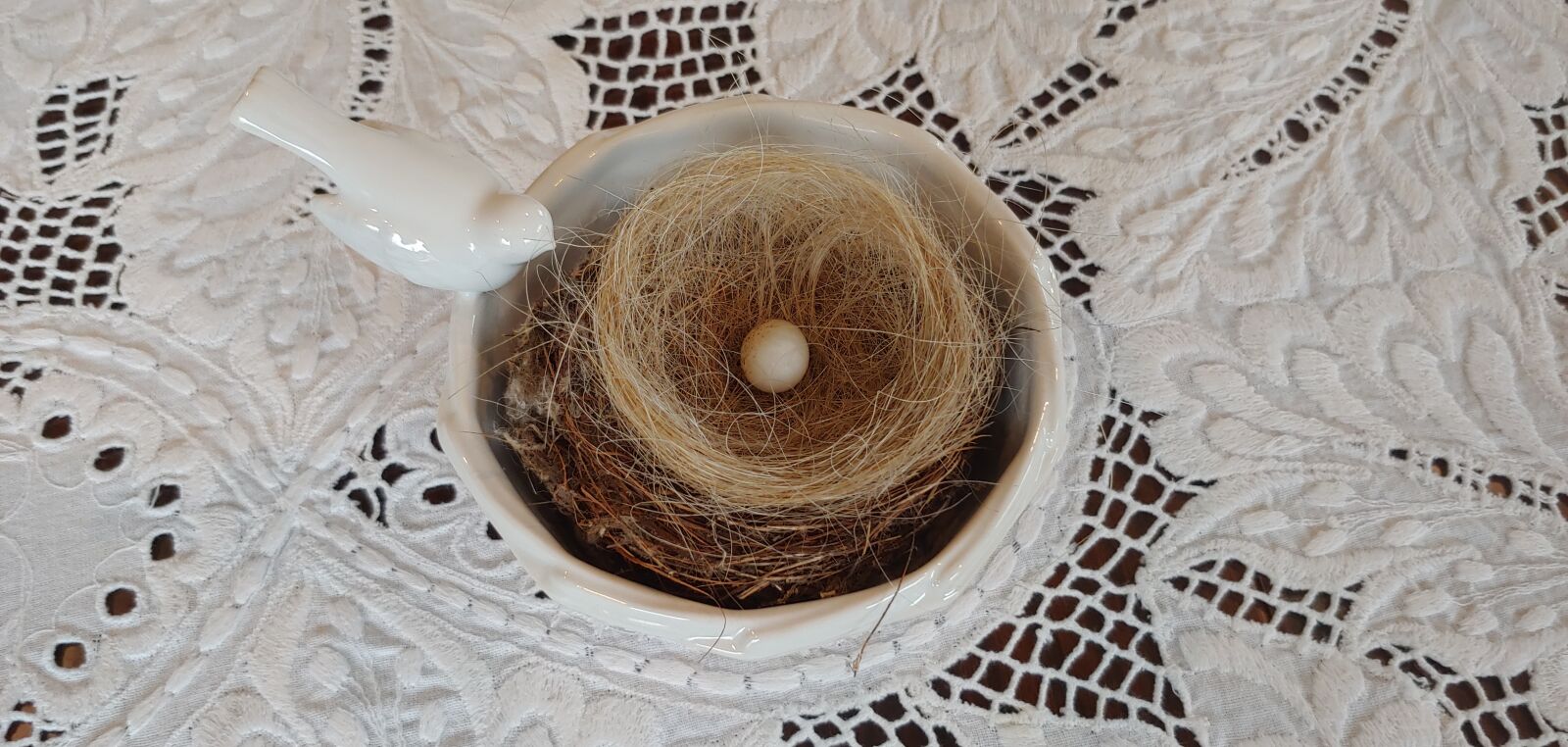 LG G7 THINQ sample photo. Nest, hummingbird, spring photography