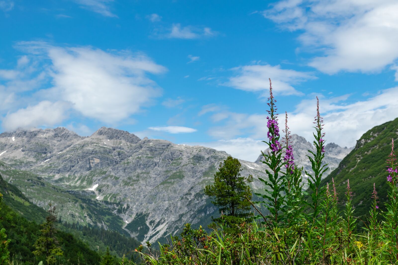 Nikon D5300 sample photo. Lech, lech valley, alpine photography
