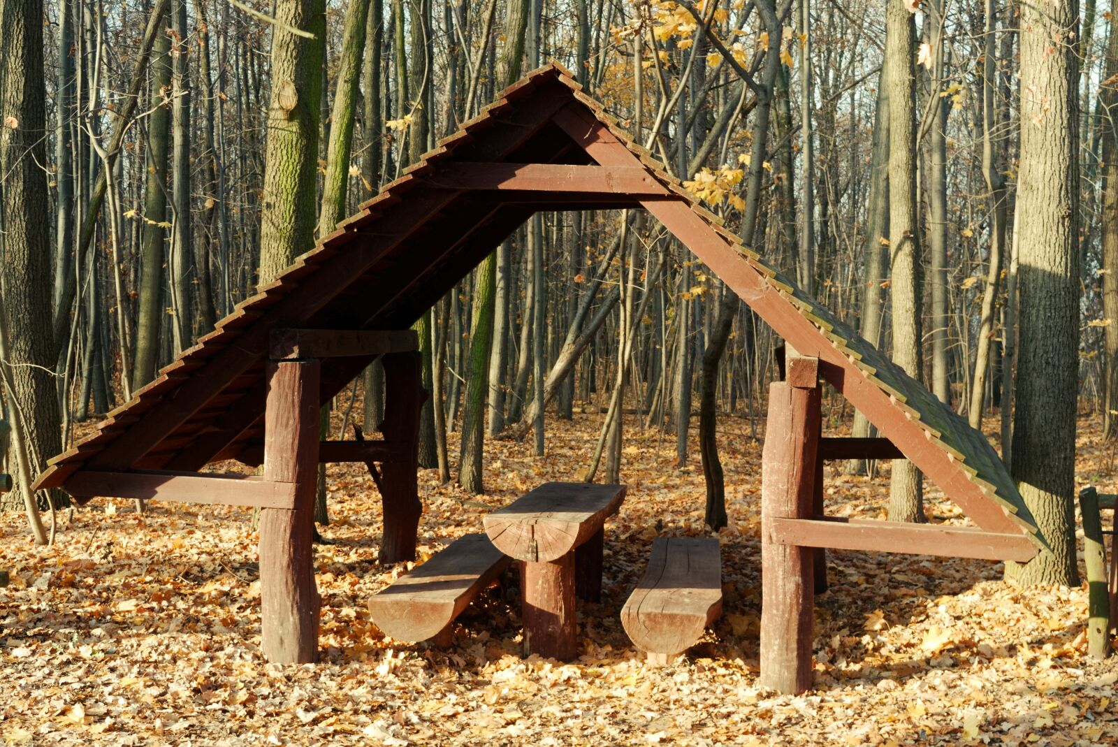 Nikon D3100 sample photo. Construction, wood, roof photography