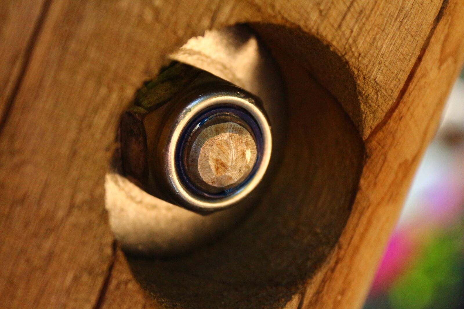 Canon EOS 650D (EOS Rebel T4i / EOS Kiss X6i) sample photo. Screw, brown, scaffold photography