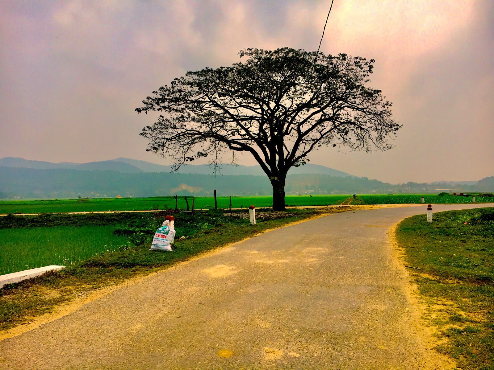 Apple iPhone 6s sample photo. Village, banyan tree, village photography