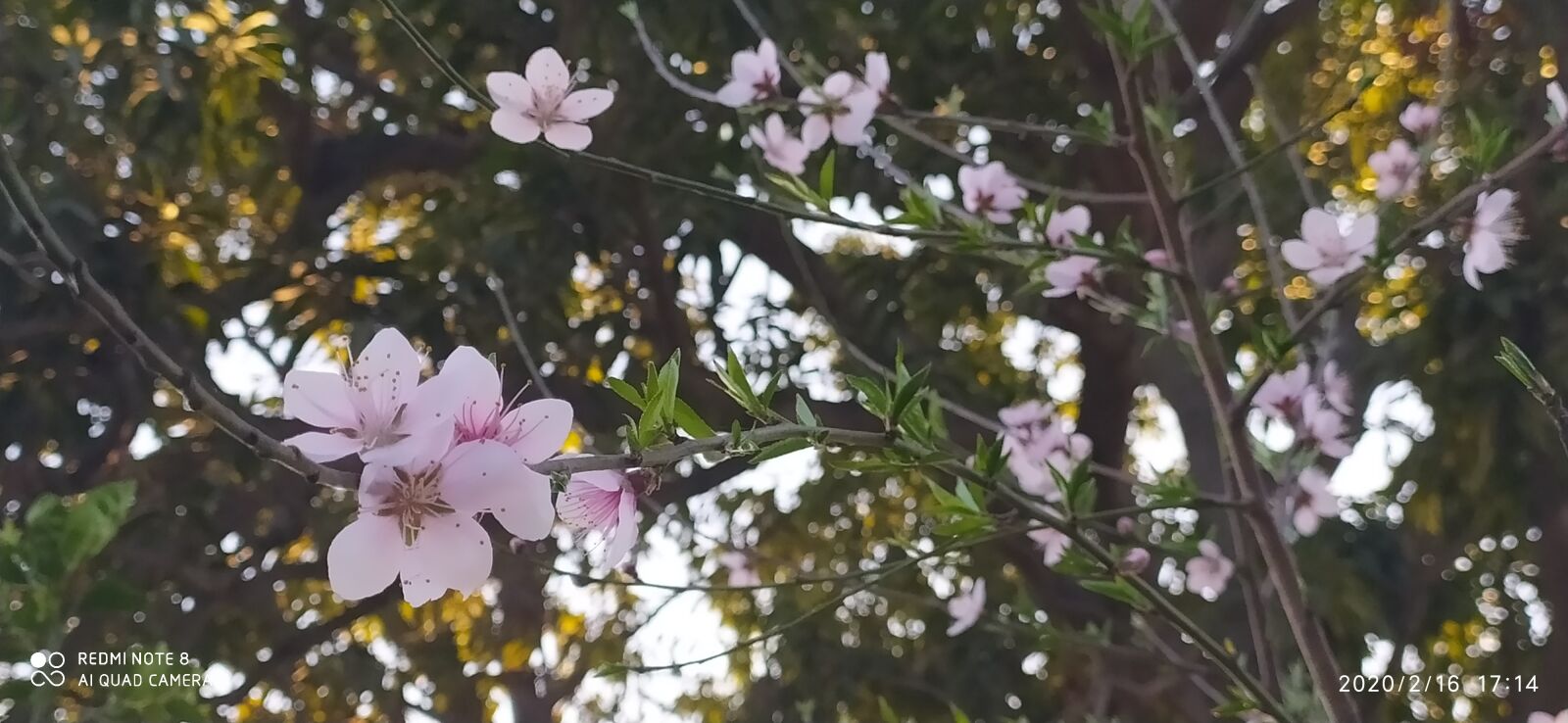 Xiaomi Redmi Note 8 sample photo. Ramadan kareem, ramadan mubarak photography