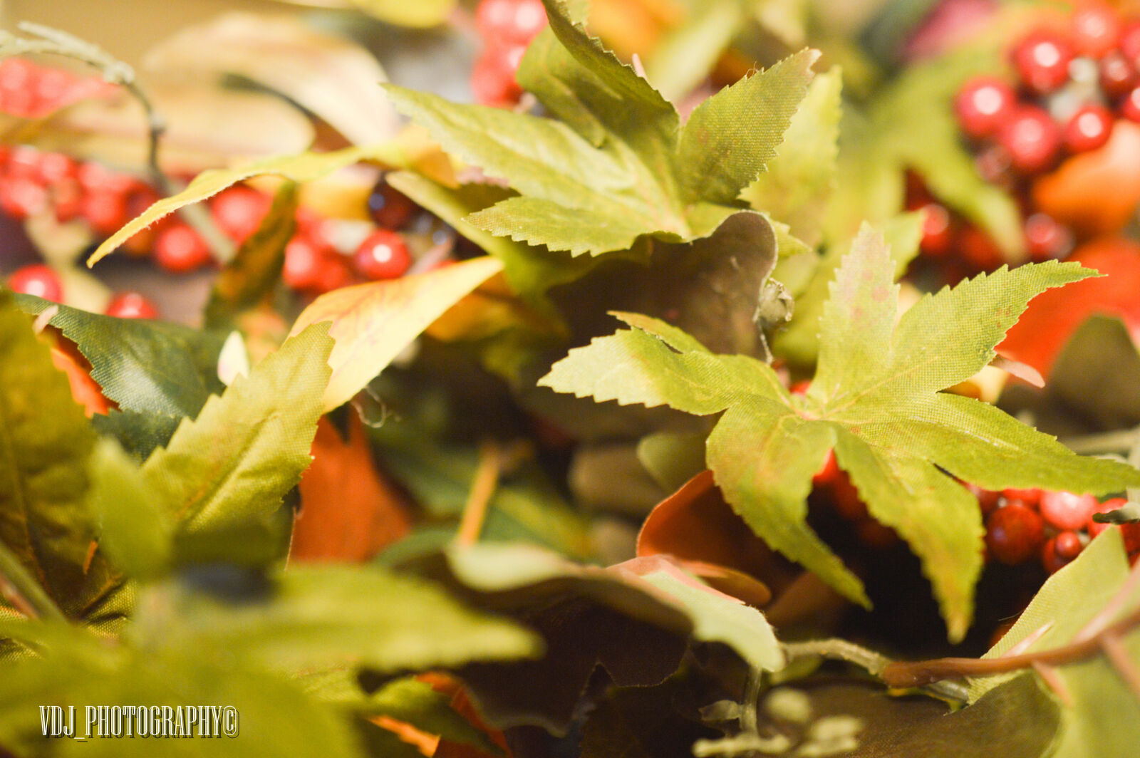 Nikon AF-S DX Micro Nikkor 40mm F2.8 sample photo. 954, photos, alyssa, events photography