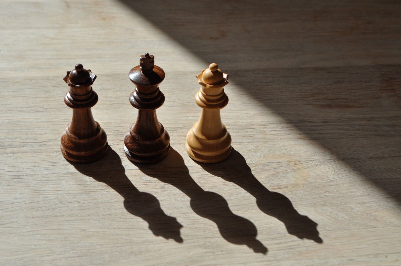Nikon D5000 sample photo. Chess, strategy, shadow photography