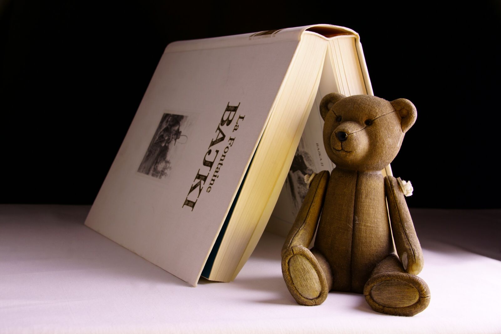 Sony ILCA-77M2 sample photo. Toy, book, bear photography