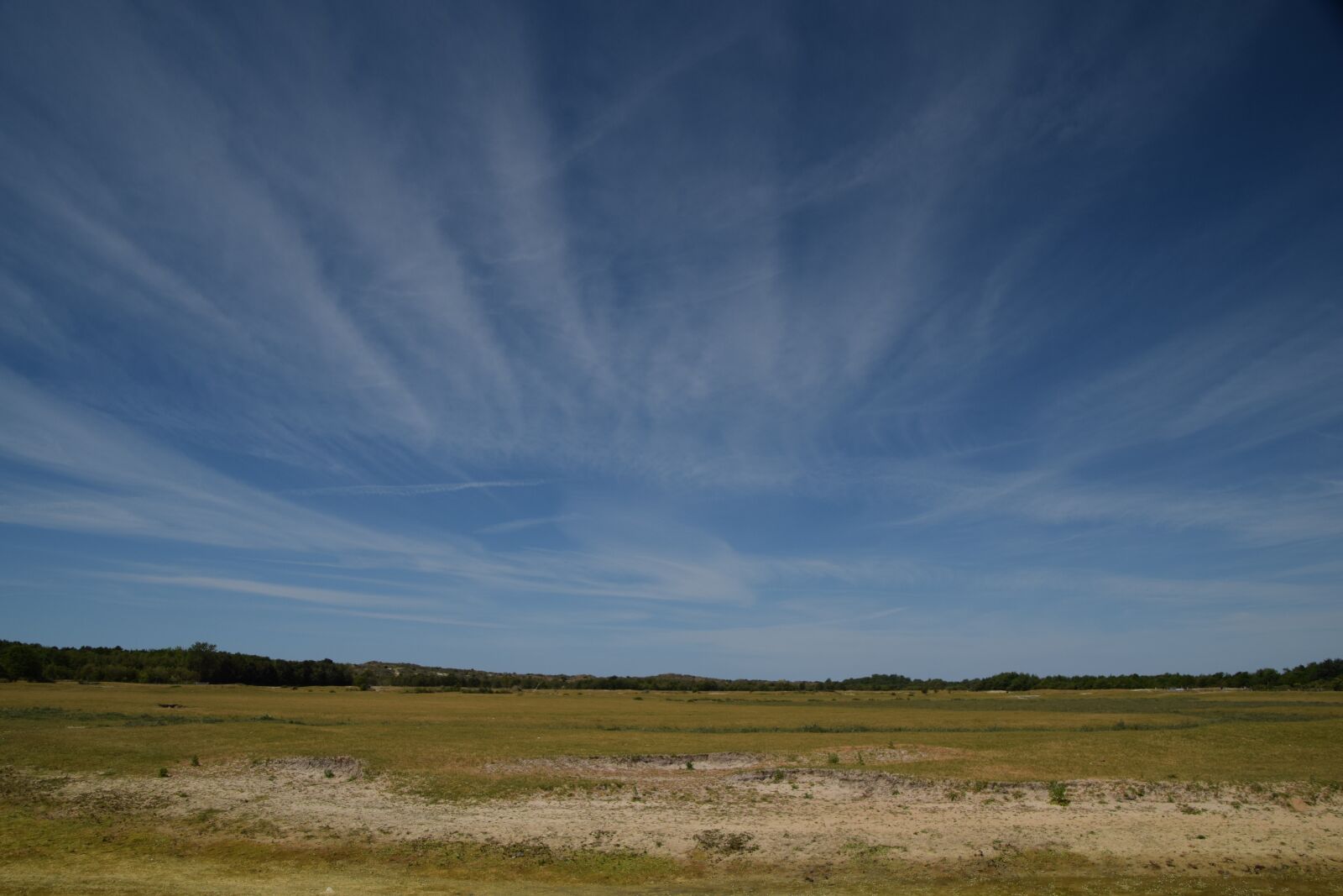 Nikon D3300 sample photo. Zealand, dunes, coast photography