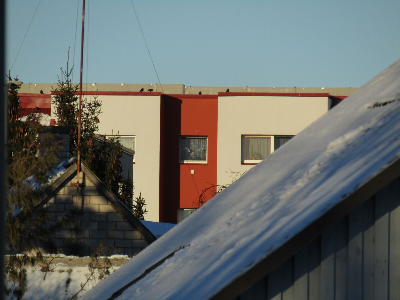 Canon PowerShot SX420 IS sample photo