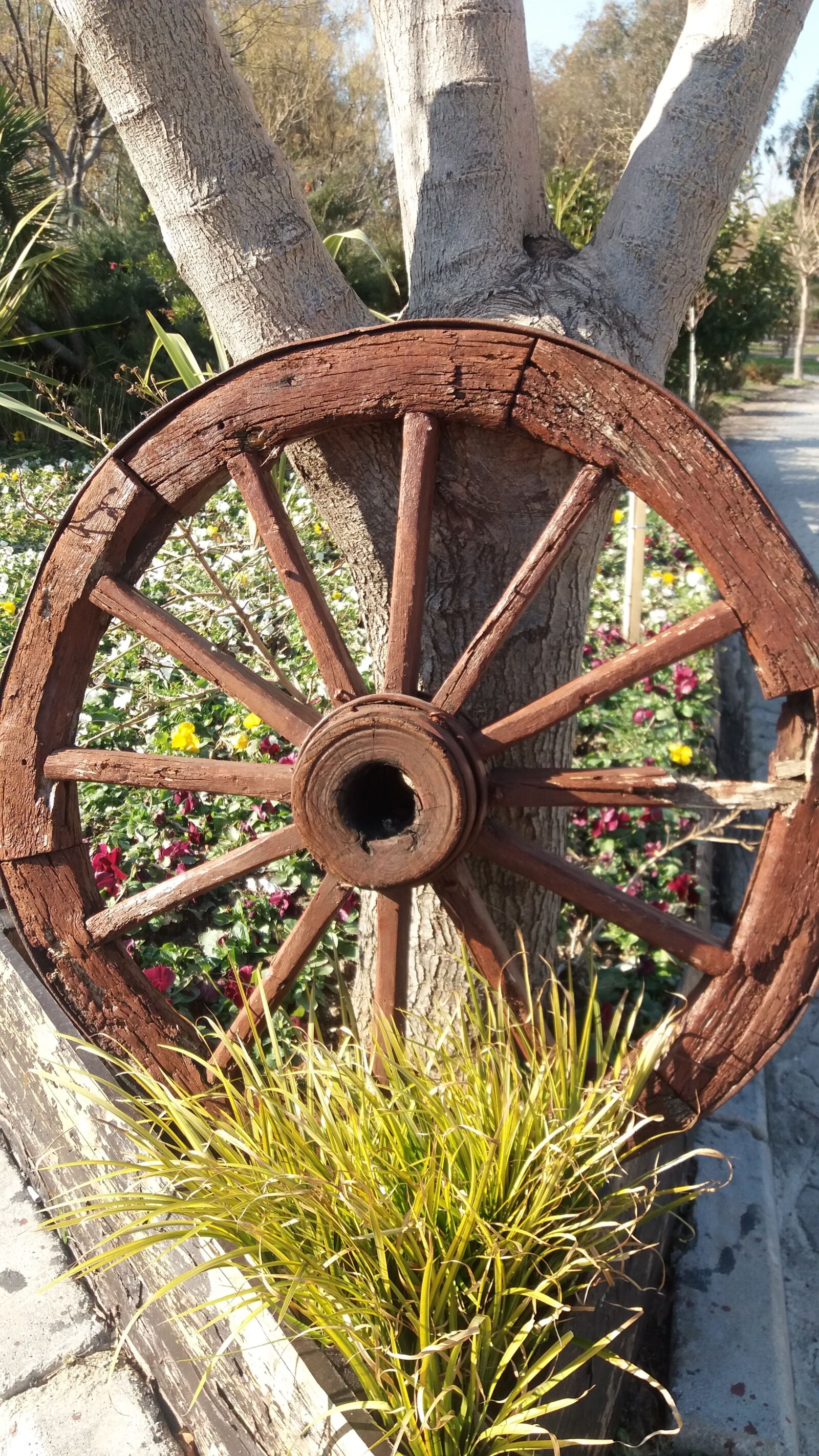 Samsung Galaxy J5 sample photo. Wheel, decor, landscape photography