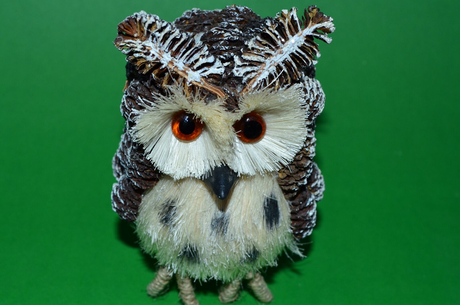 Nikon D5100 sample photo. Owl, odd job, green photography