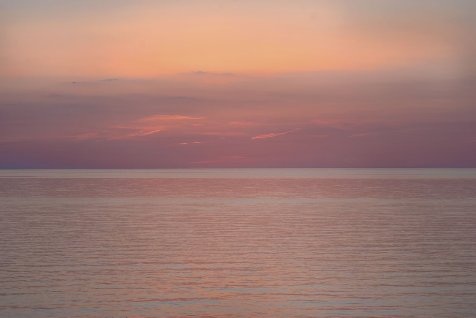 Nikon D60 sample photo. Water, purple, orange photography