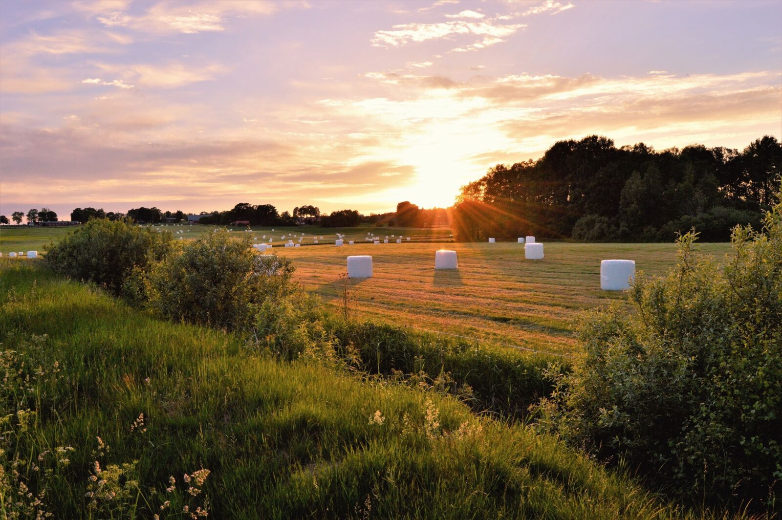 Nikon D3200 sample photo. Sunset, sweden, småland photography