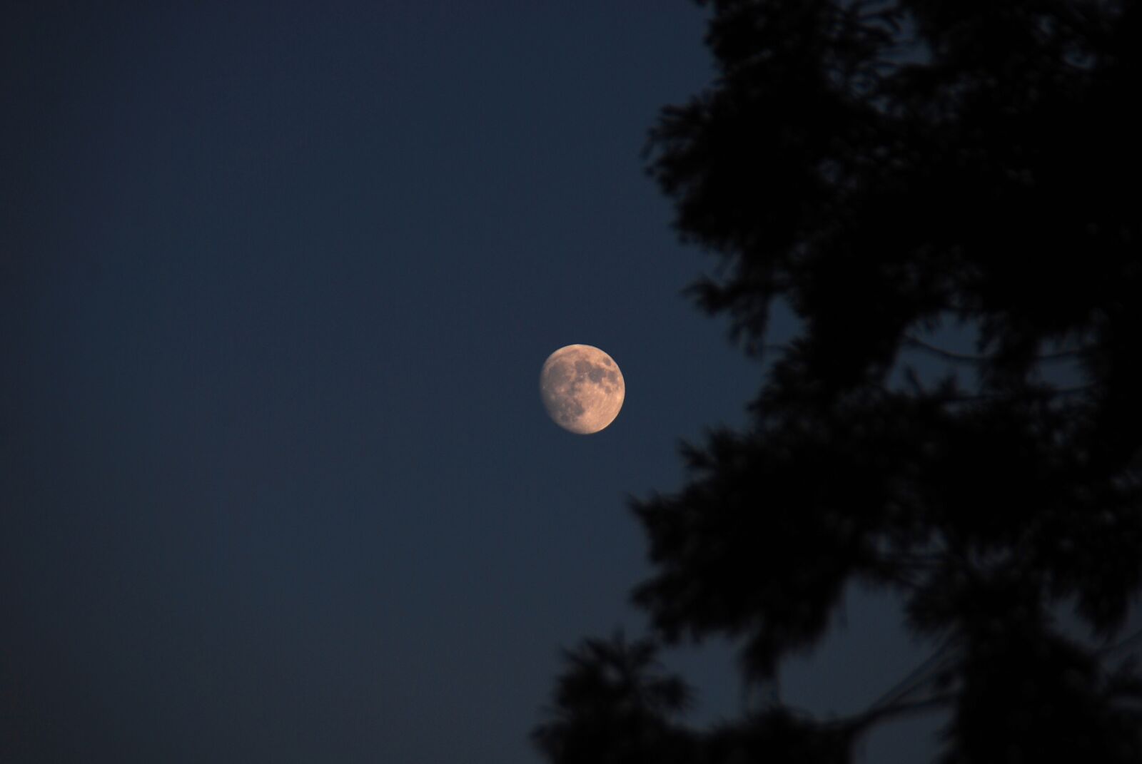 Nikon D40X sample photo. Moon, sky, blue photography