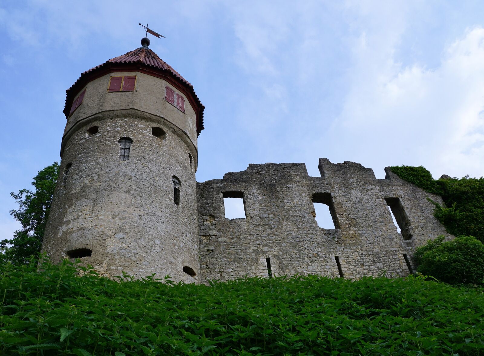 Sony ILCA-77M2 + Sony DT 16-50mm F2.8 SSM sample photo. Tuttlingen, honing mountain, ruin photography