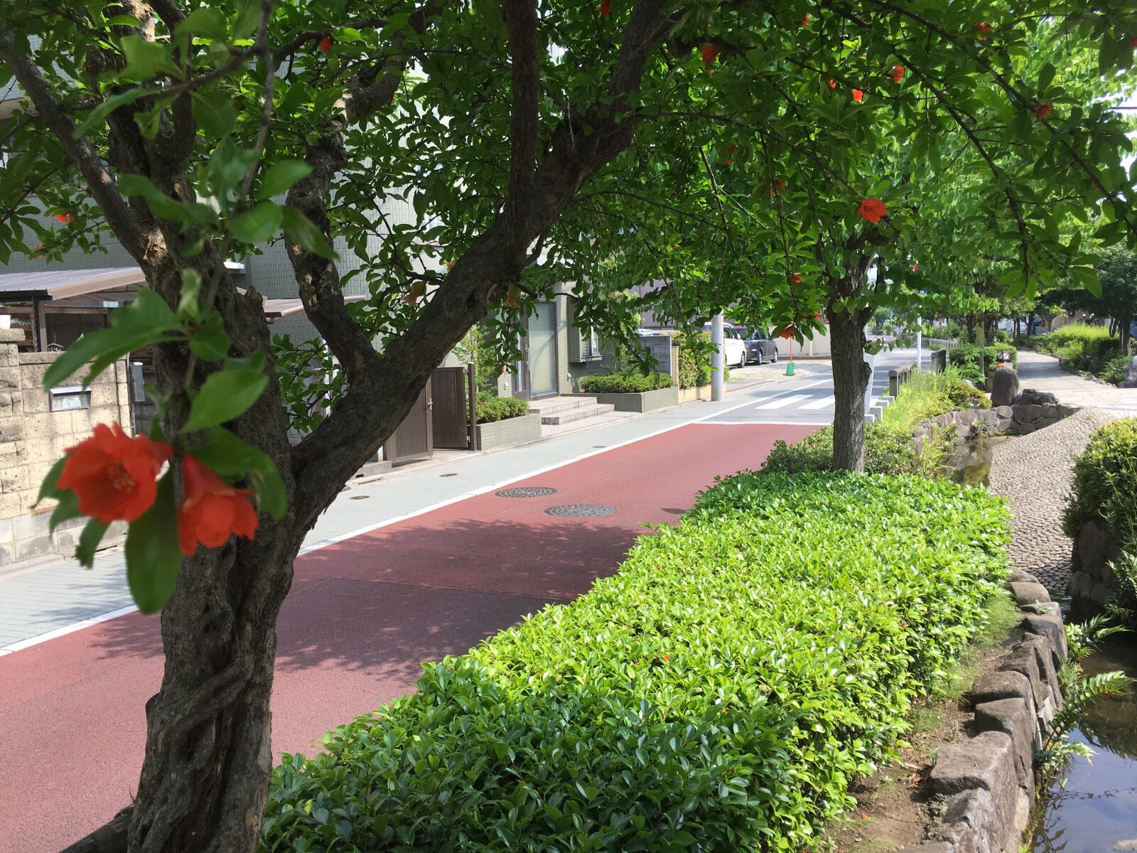 iPhone 6s Plus back camera 4.15mm f/2.2 sample photo. Toneri, adachi-ku, tokyo photography
