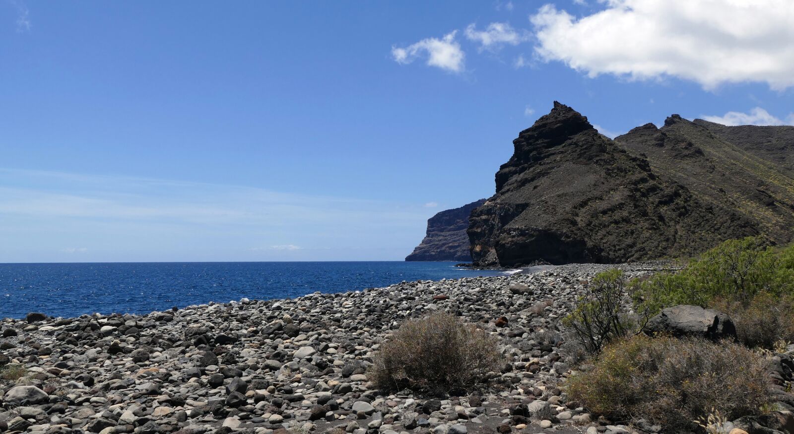 Panasonic Lumix DMC-FZ1000 sample photo. La reptiles, canary island photography