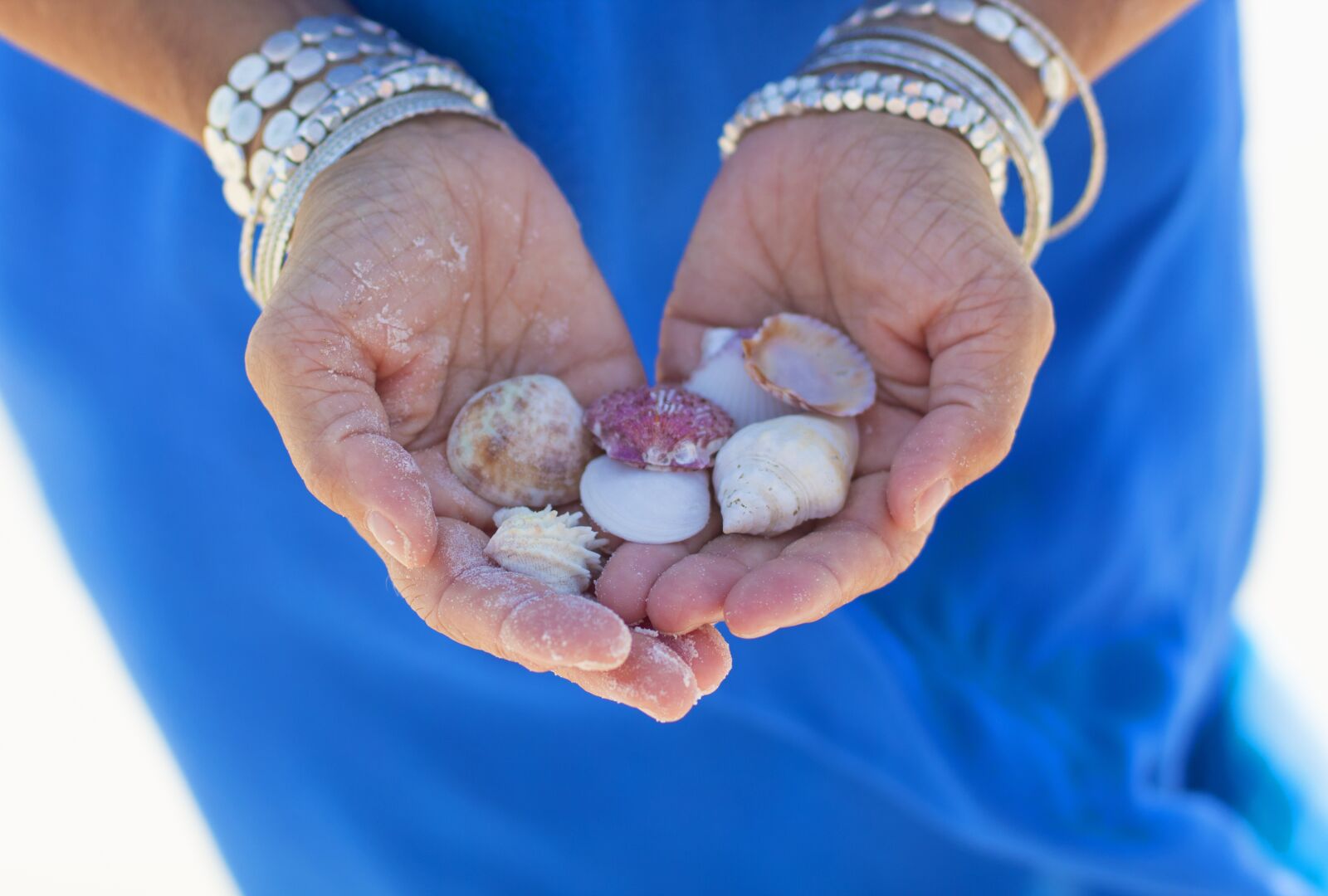 Canon EF 50mm F1.4 USM sample photo. Shells, beach, ocean photography