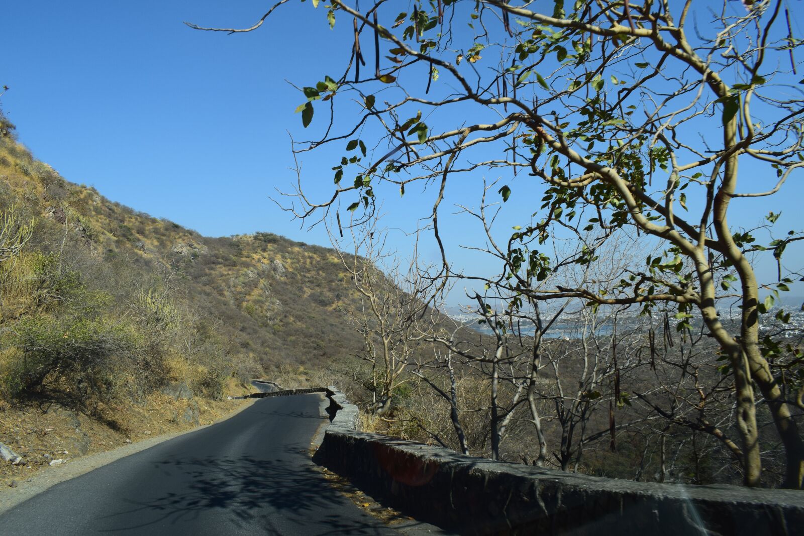 Nikon D5300 sample photo. Road, tree, nature photography