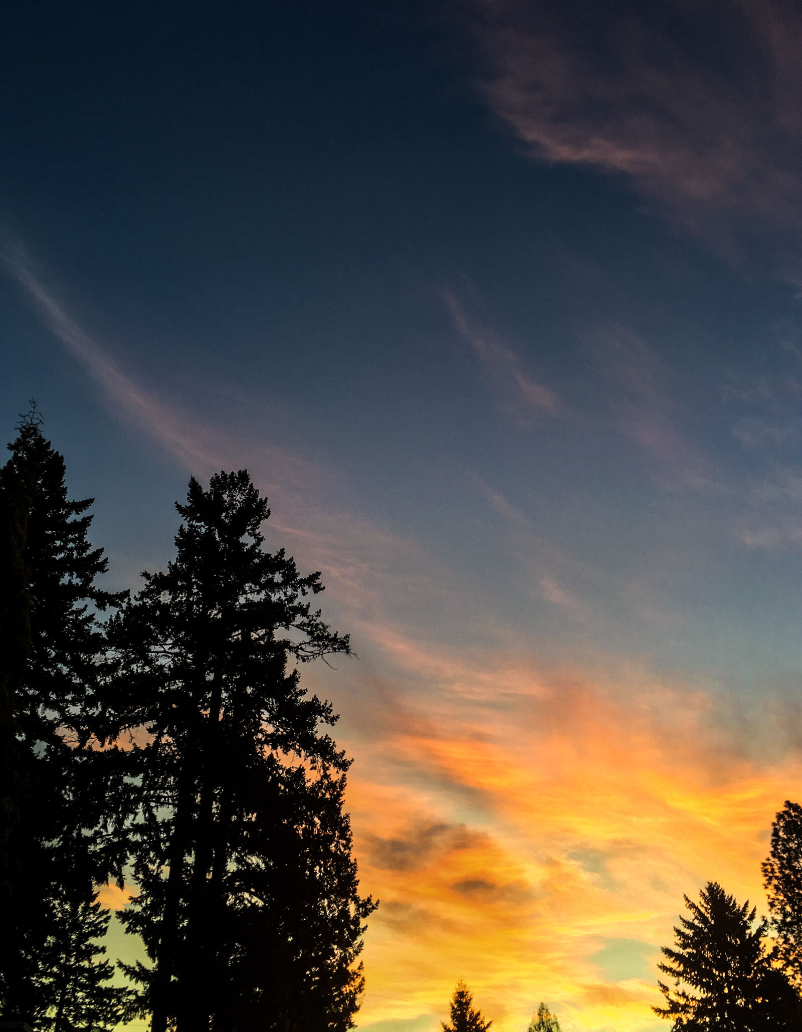 Apple iPhone SE sample photo. Colors, oregon, sunrise, sunset photography