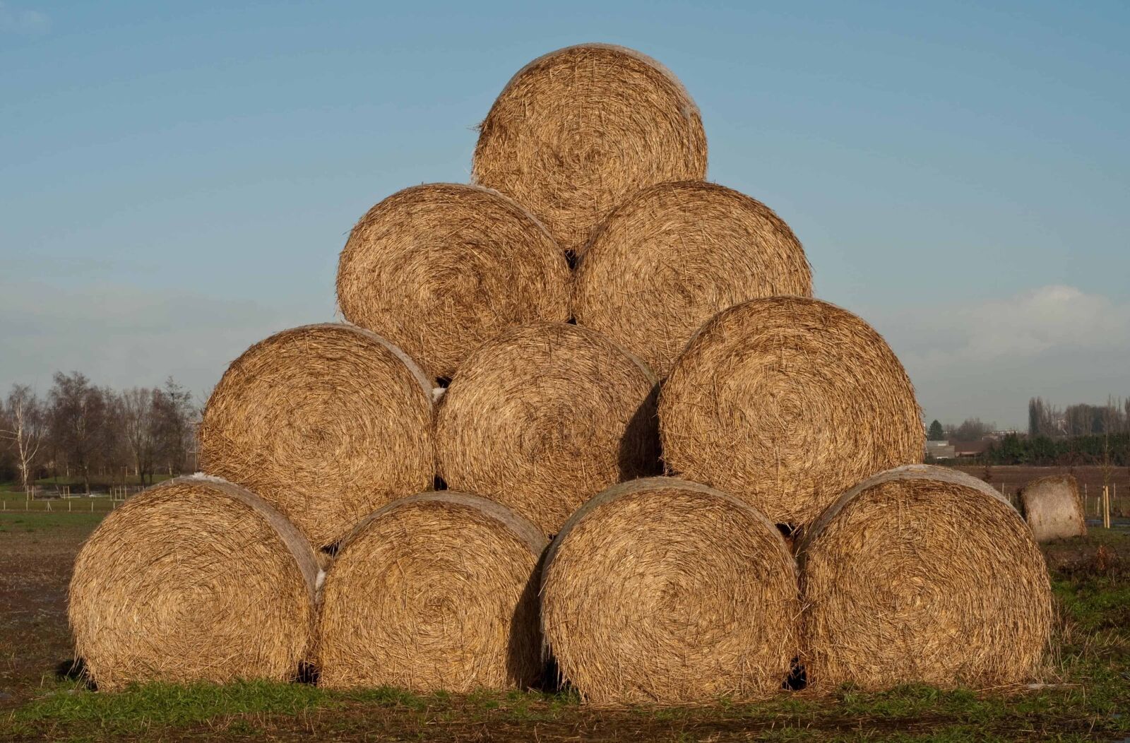 Nikon D300 sample photo. Straw, grass, outdoor, sky photography