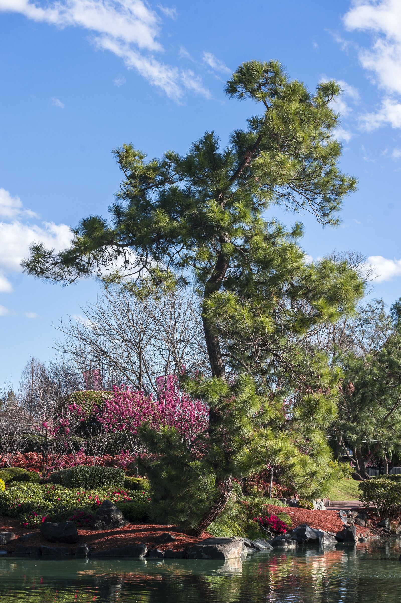 Nikon D4 sample photo. Zen, zen garden, japanese photography