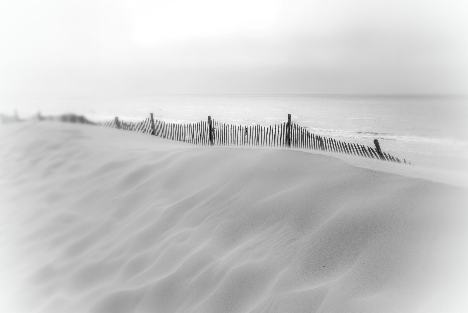 Nikon D80 sample photo. Beach, sand, fence photography