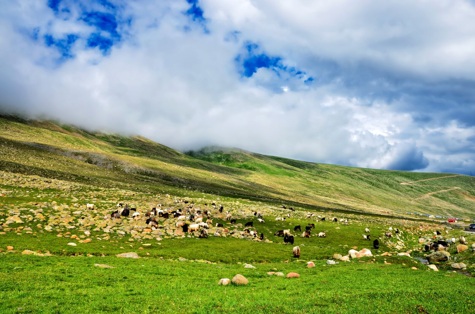 Nikon D5100 sample photo. Eastern black sea, plateaus photography