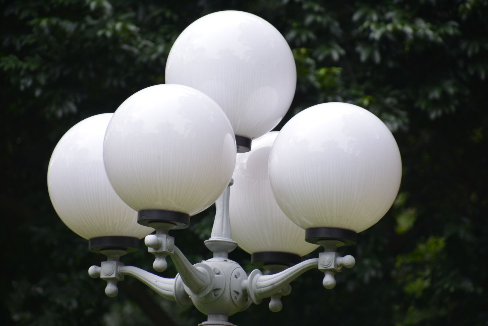 Nikon D7100 sample photo. Floor lamp, park, viet photography