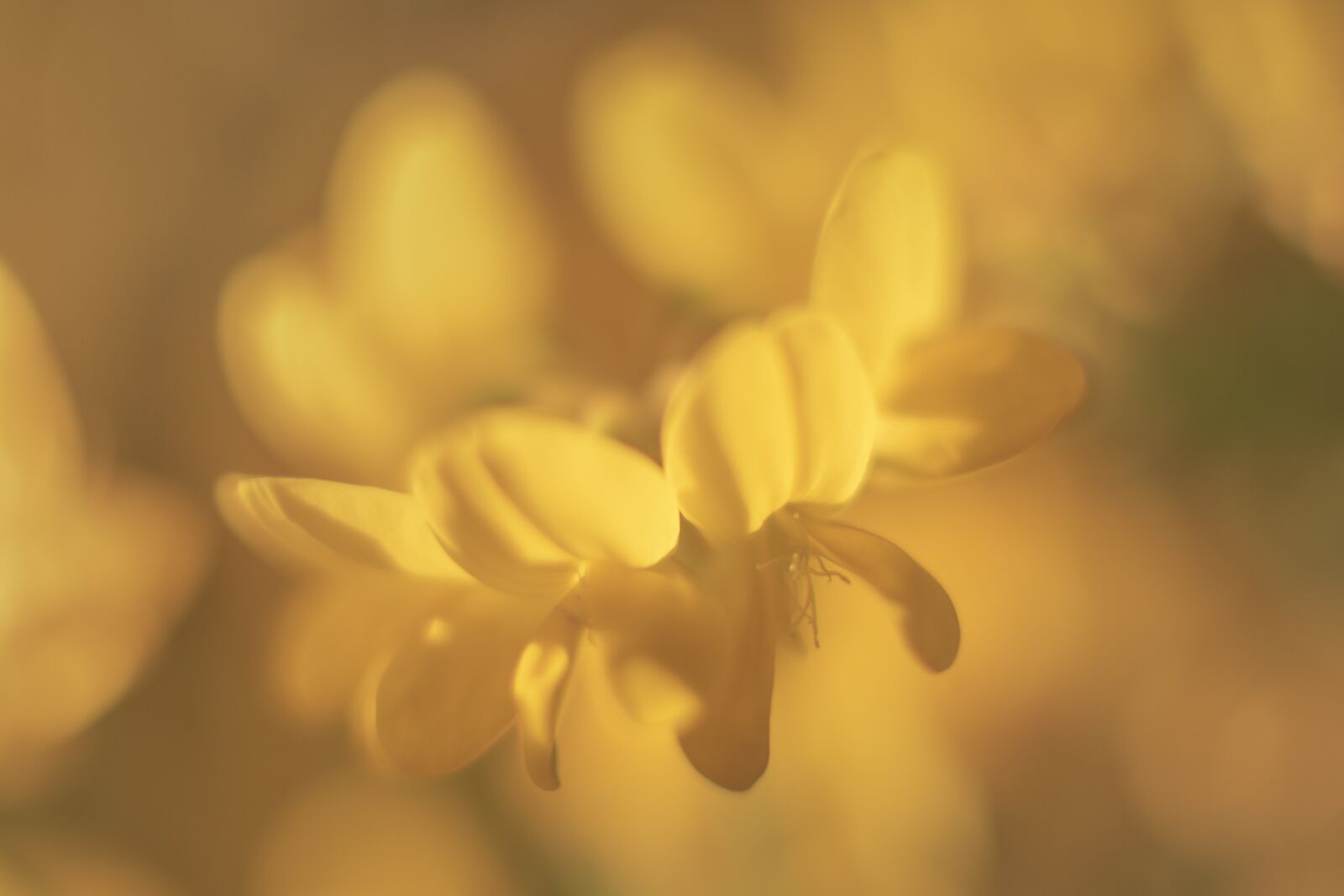 Nikon D7500 sample photo. Photos timeo, timeo sitruk photography