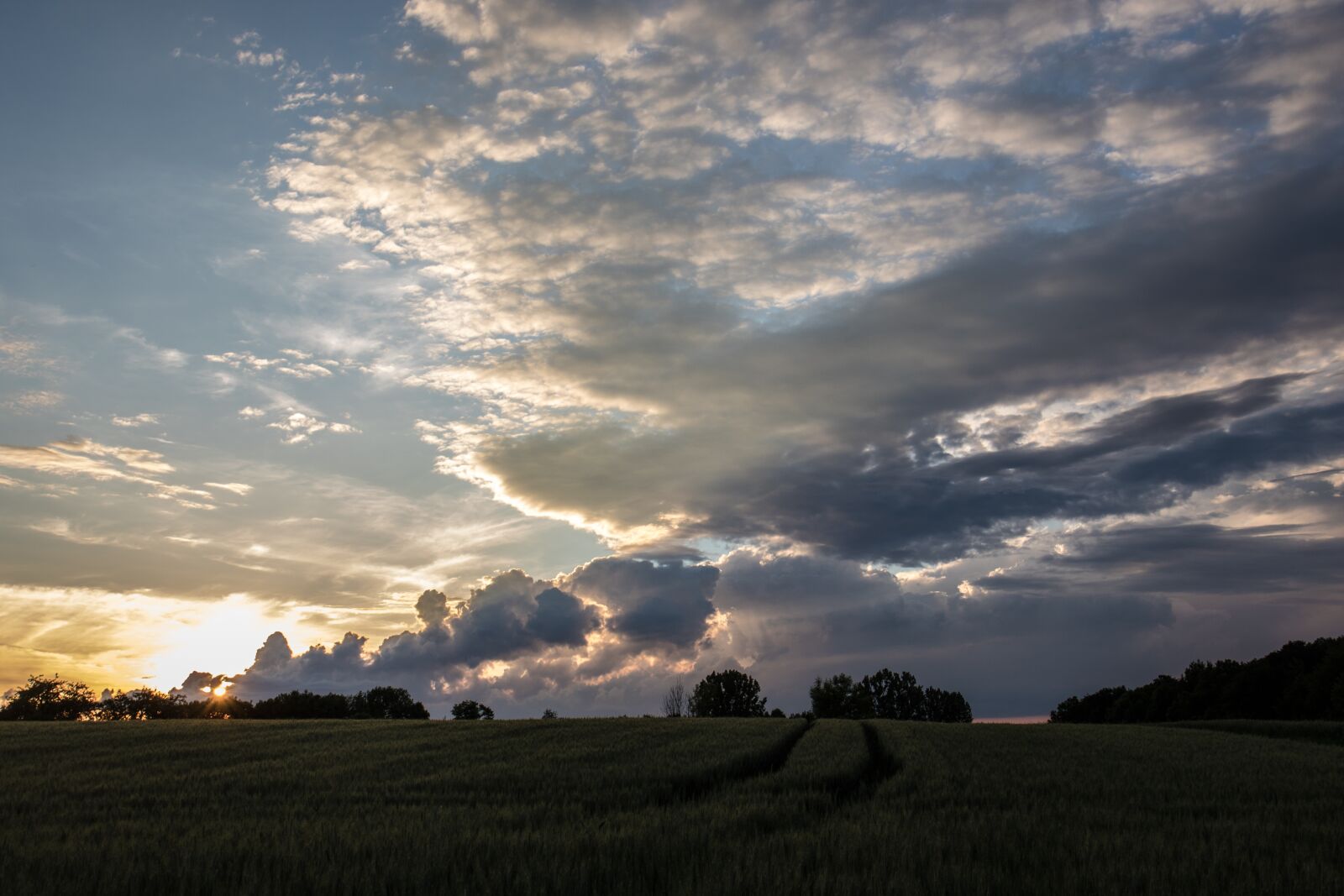 Canon EOS 7D Mark II sample photo. Landscape, summer, nature photography