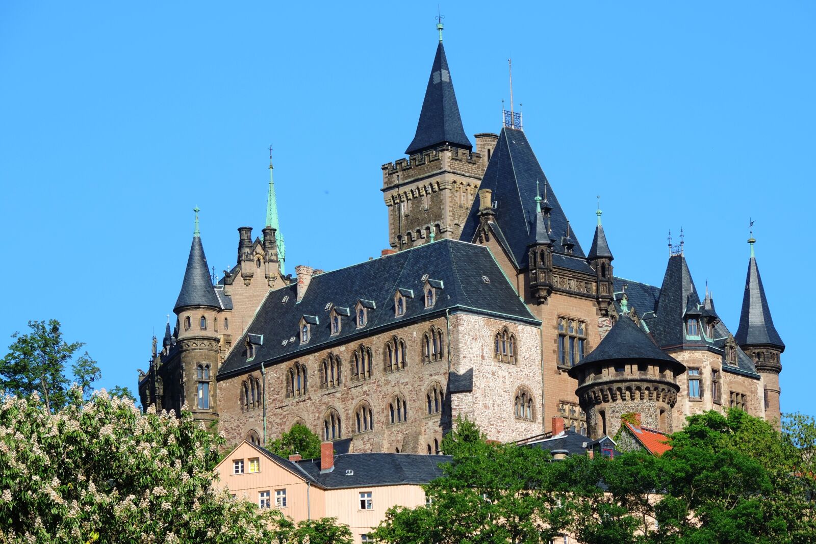 Nikon Coolpix P520 sample photo. Wernigerode, castle photography