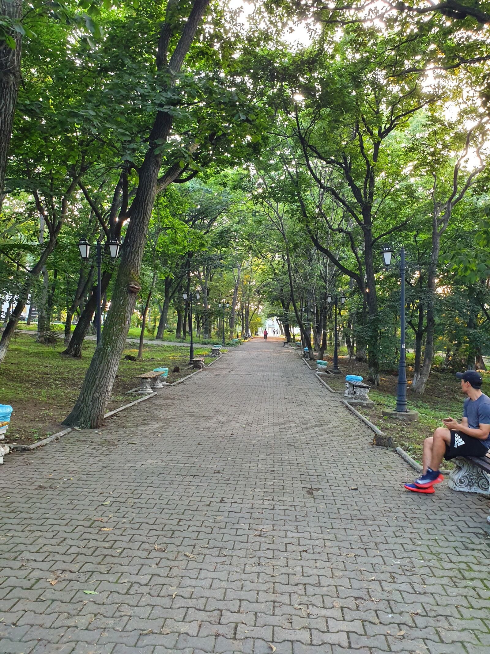 Samsung Galaxy S10 sample photo. Vladivostok, park, view photography
