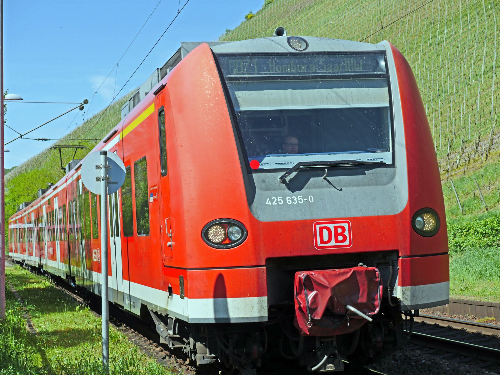 Panasonic Lumix DMC-GX8 sample photo. Regional train, elektrotriebzugzug, vineyards photography
