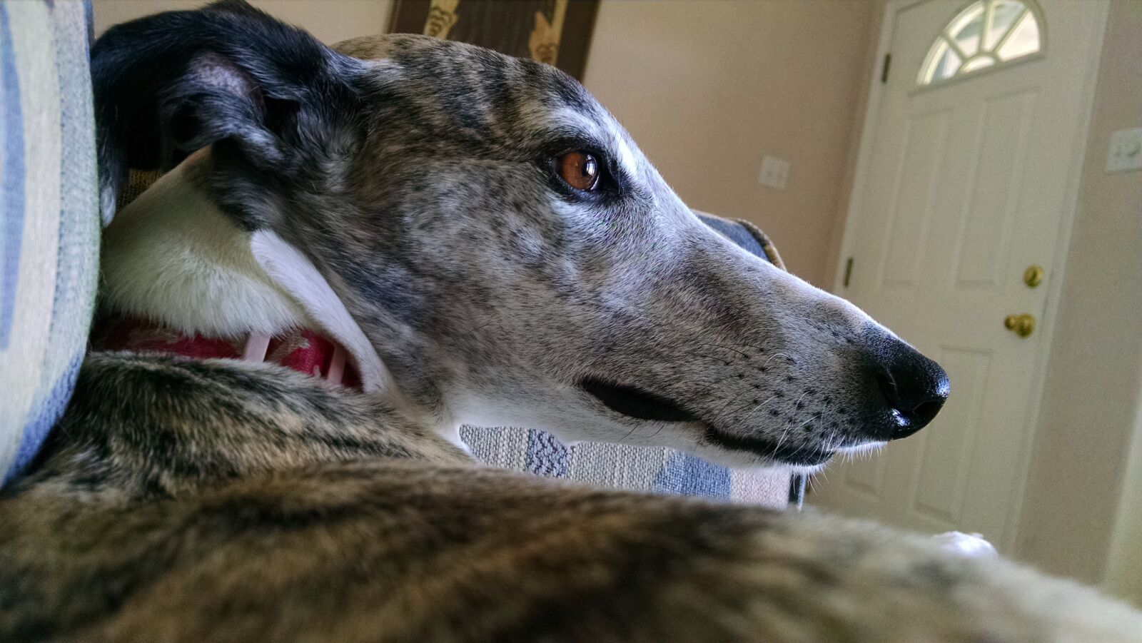 Motorola XT1080 sample photo