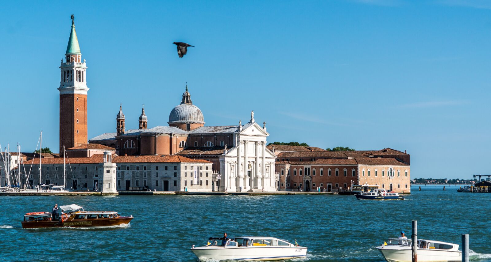 Sony a7R II + Sony FE 24-240mm F3.5-6.3 OSS sample photo. Venice, italy, flying bird photography