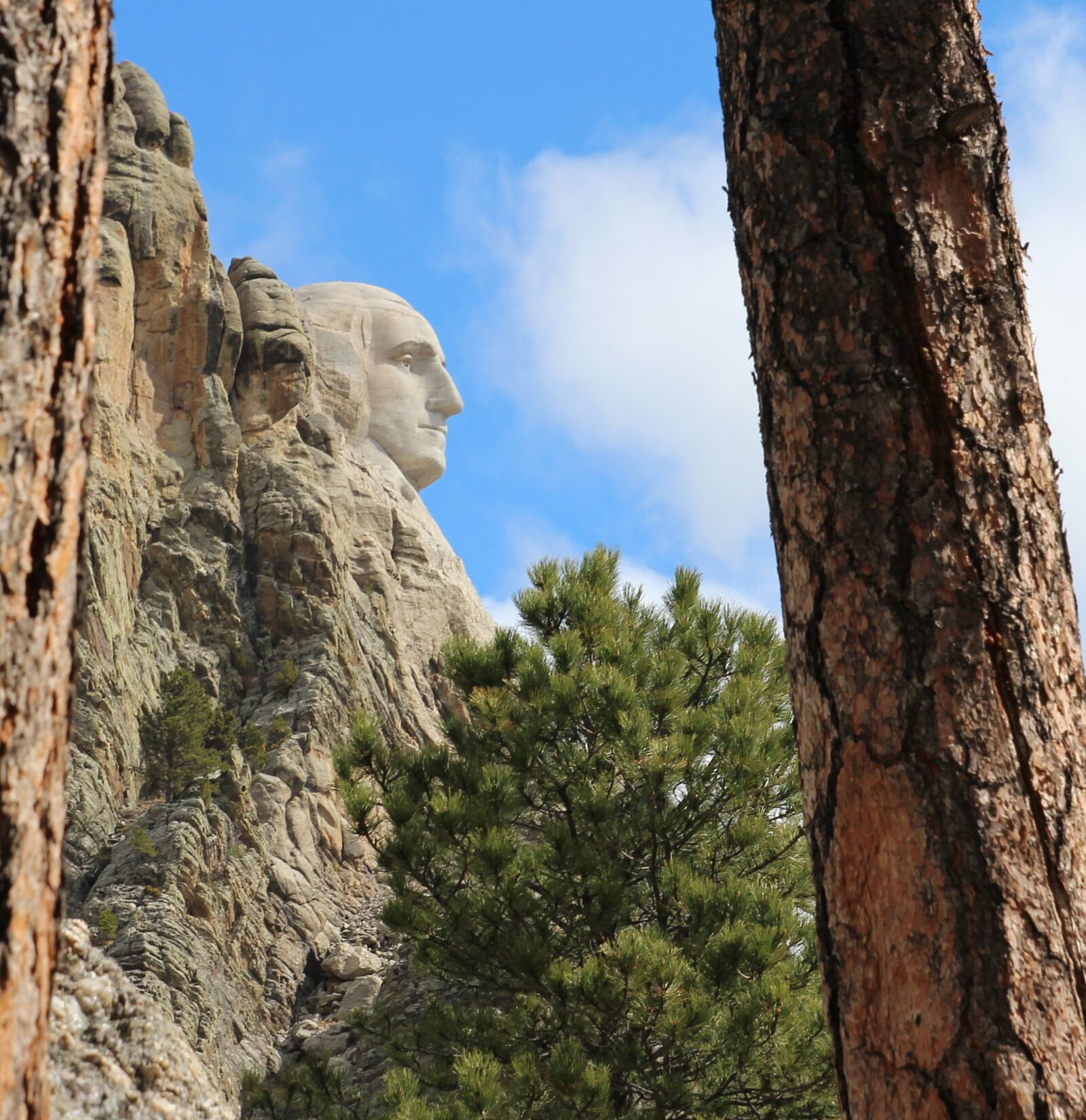 Canon EOS 600D (Rebel EOS T3i / EOS Kiss X5) sample photo. George washington, mount rushmore photography