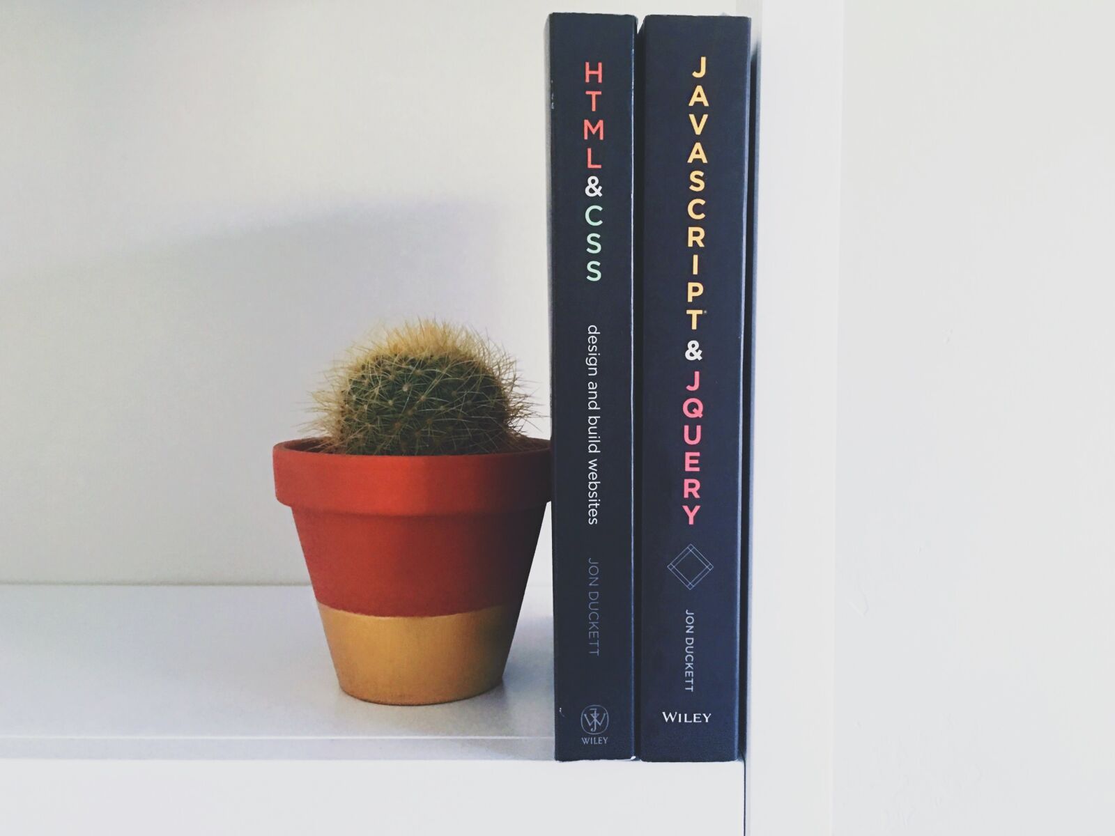 Apple iPhone 6s Plus sample photo. Books, cactus, knowledge photography