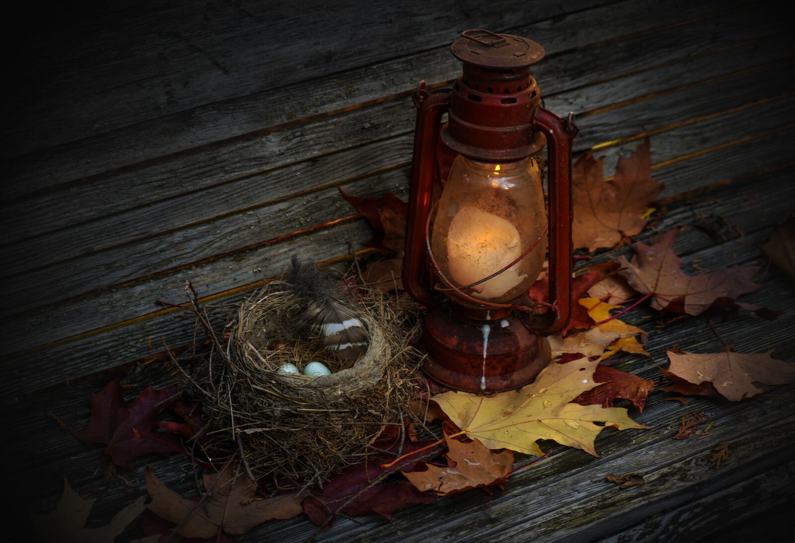 Nikon D850 sample photo. Easter, bird nest, nature photography
