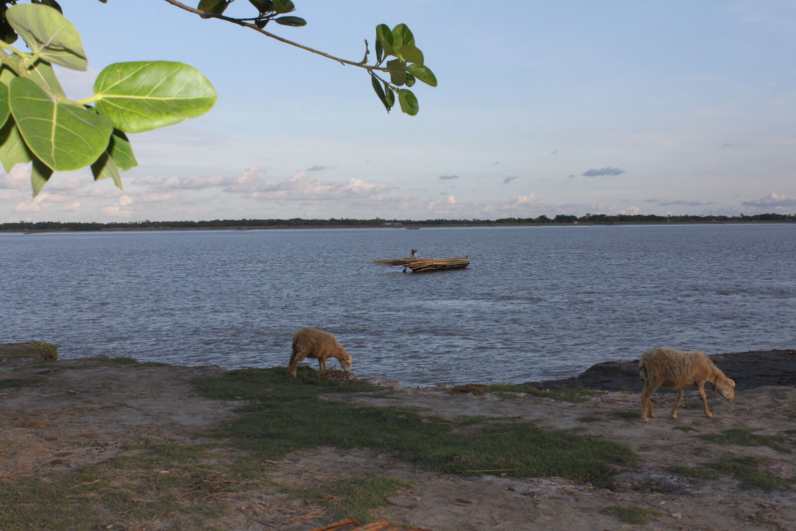 Canon EOS 500D (EOS Rebel T1i / EOS Kiss X3) sample photo. Bangladesh, canal, fisherman, nature photography