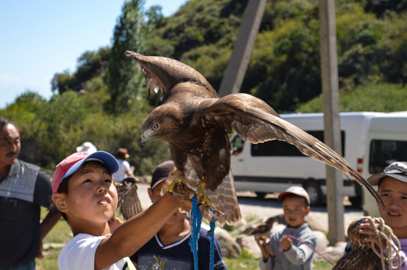 Nikon D3200 sample photo. Kids, falcon, eagle photography