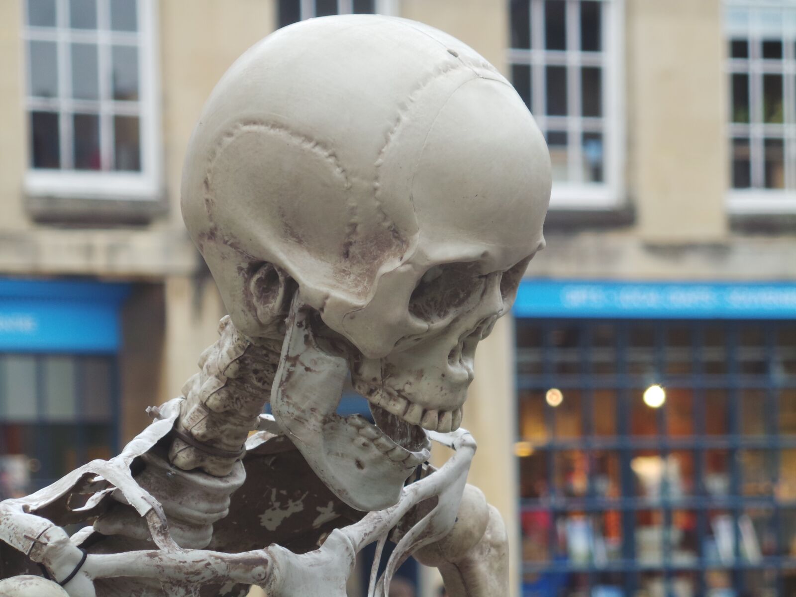 Samsung Galaxy Camera (Wi-Fi) sample photo. Skull, skeleton, halloween photography