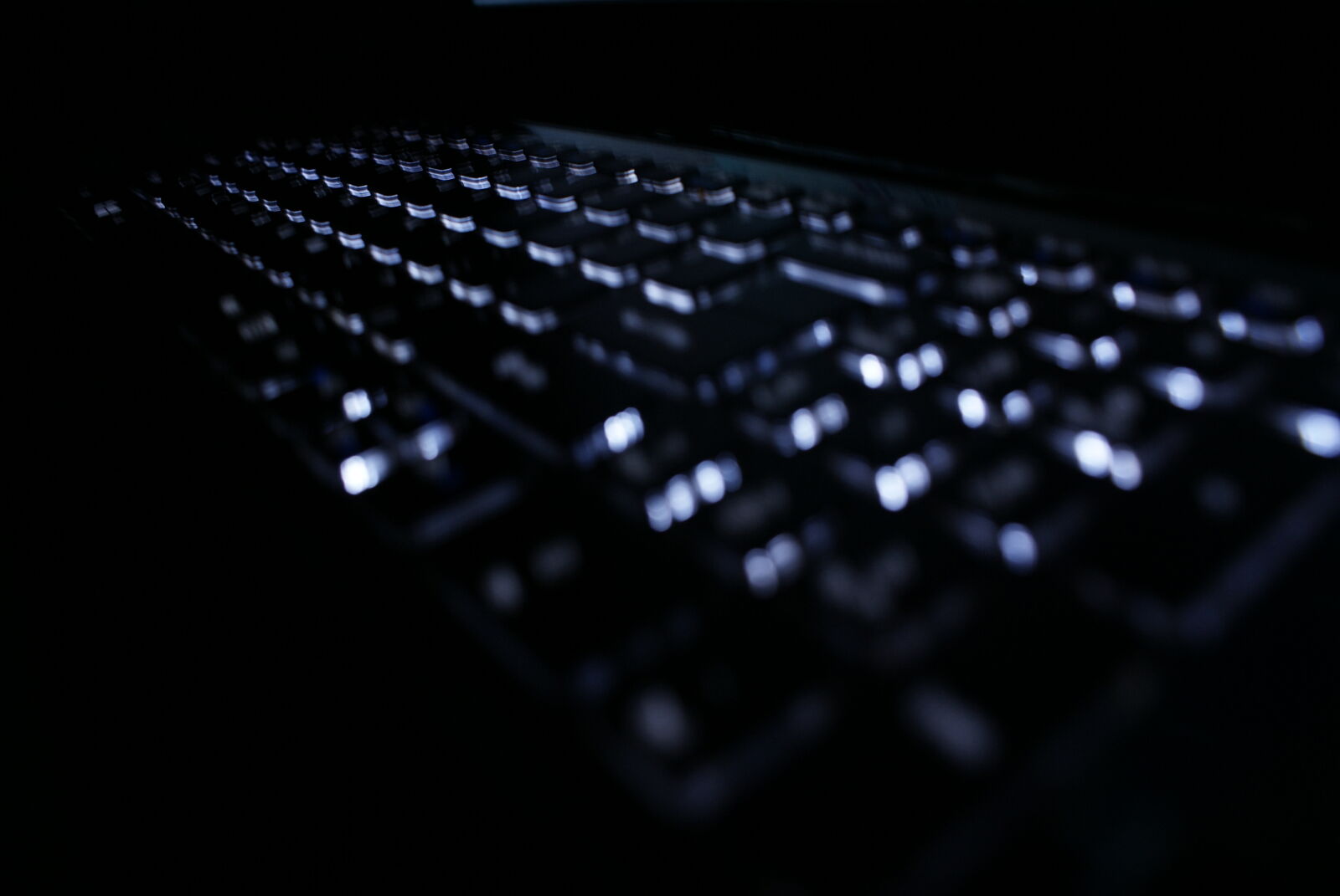 Sony Alpha DSLR-A100 sample photo. Focus, blur, work, life photography