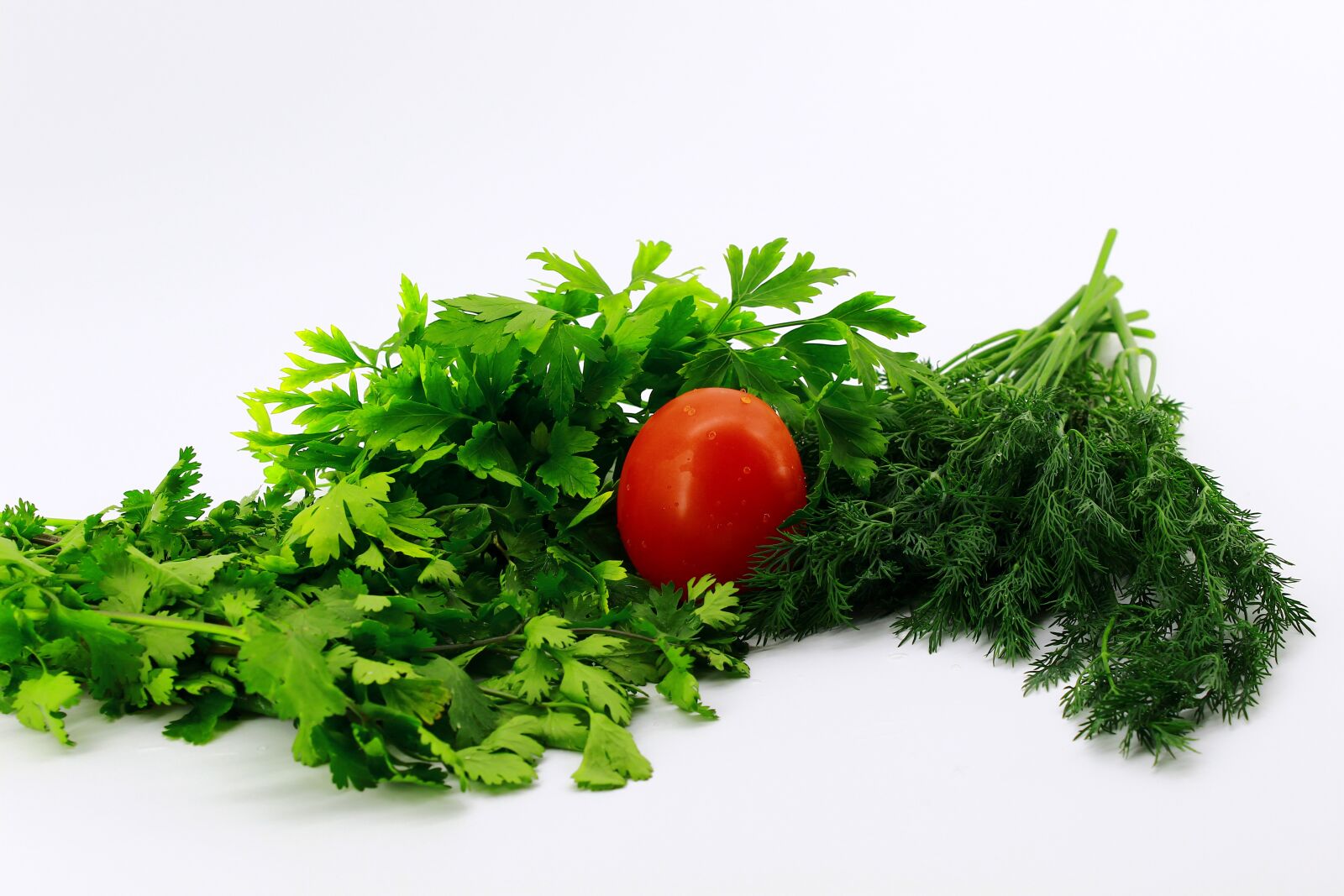 Canon EOS 4000D (EOS Rebel T100 / EOS 3000D) sample photo. White background, greens, parsley photography
