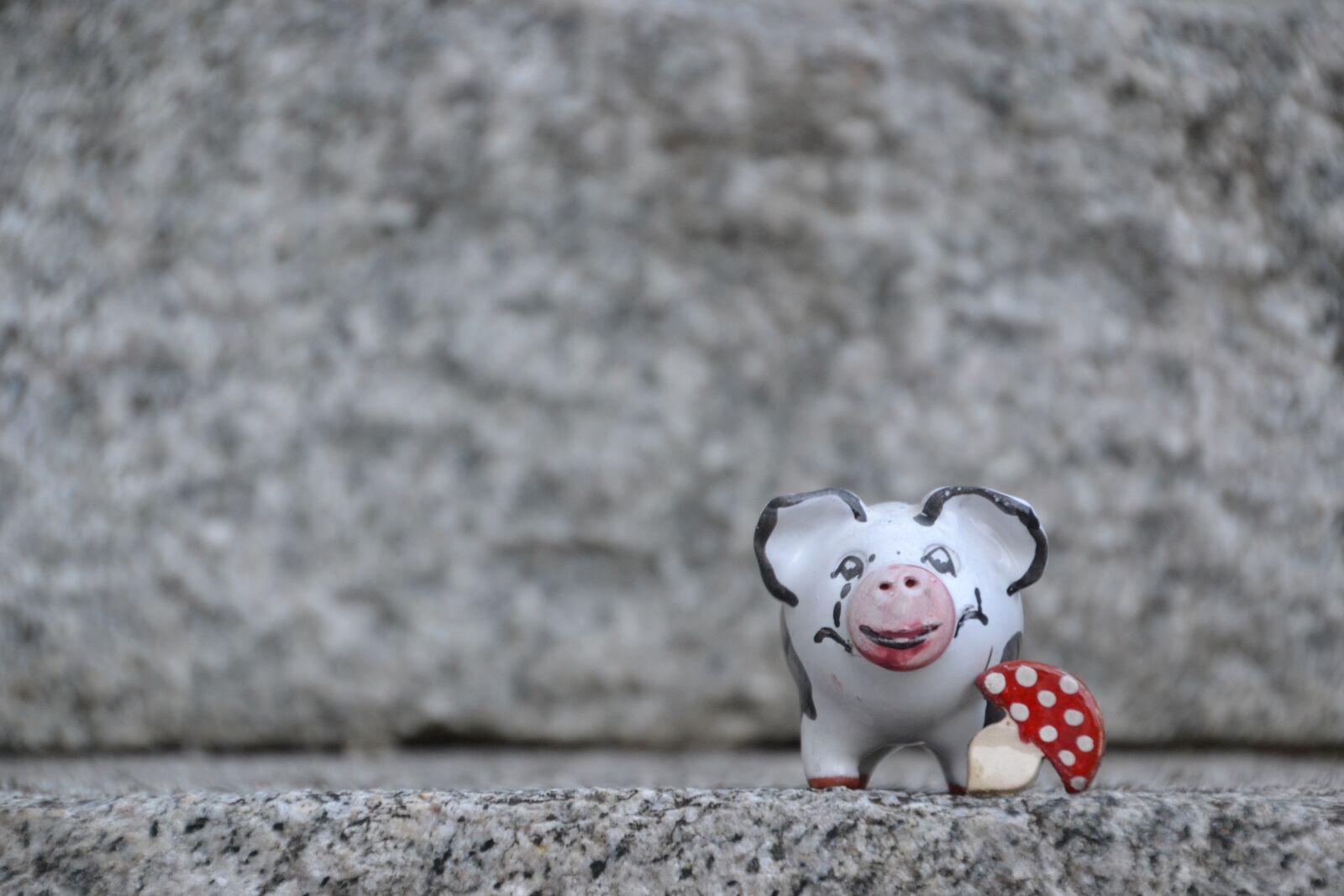 Nikon D3100 sample photo. Pig, lucky pig, ceramic photography