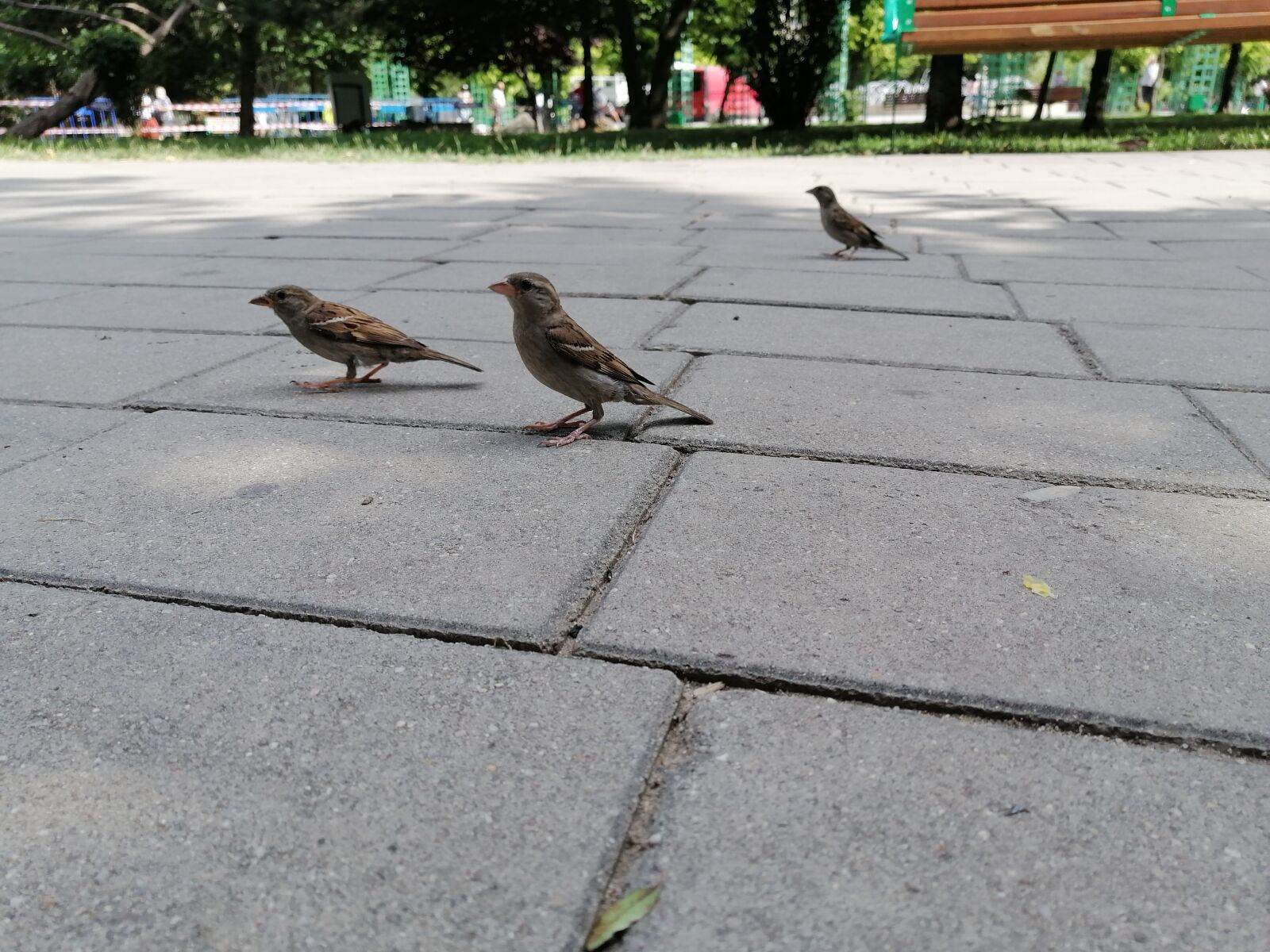 HUAWEI STK-LX1 sample photo